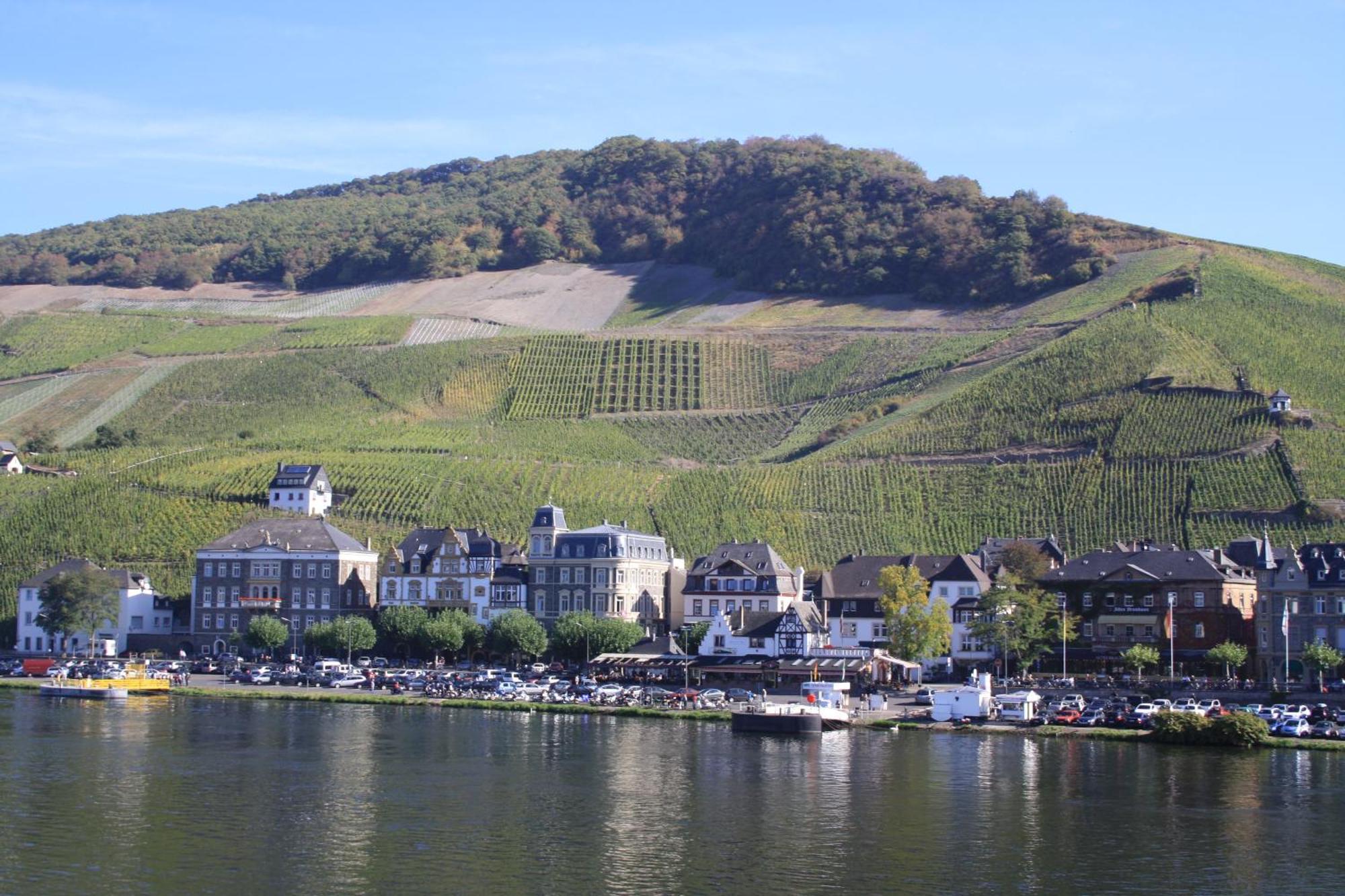 Gaestehaus Weingut Mathy-Schanz Osann-Monzel 外观 照片