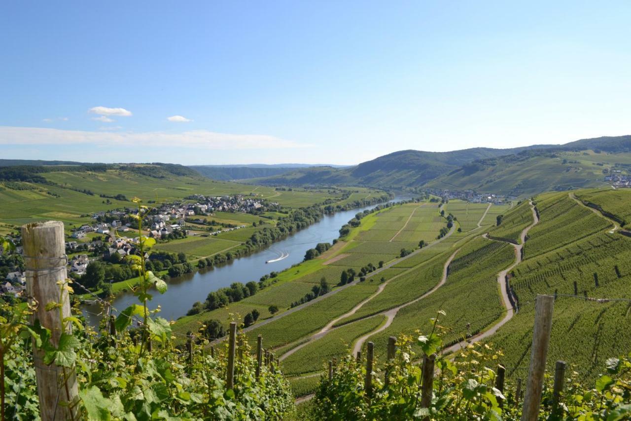 Gaestehaus Weingut Mathy-Schanz Osann-Monzel 外观 照片
