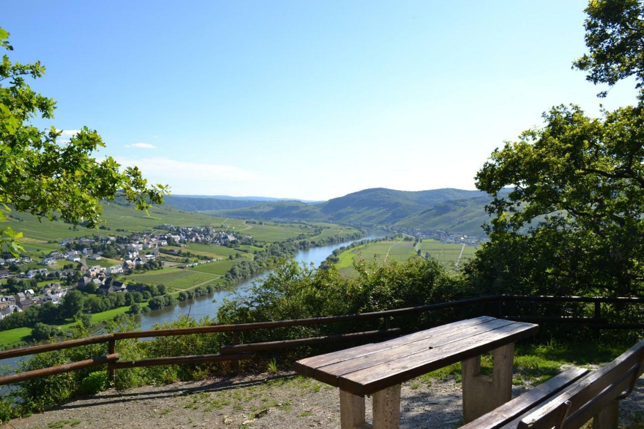 Gaestehaus Weingut Mathy-Schanz Osann-Monzel 外观 照片